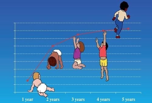 Biểu đồ tăng trưởng trẻ năm 2024: Chiều cao, cân nặng