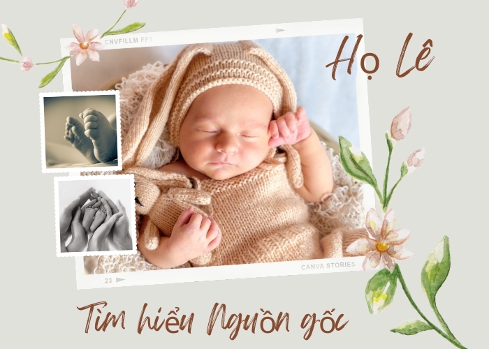 Tìm hiểu nguồn gốc họ Lê